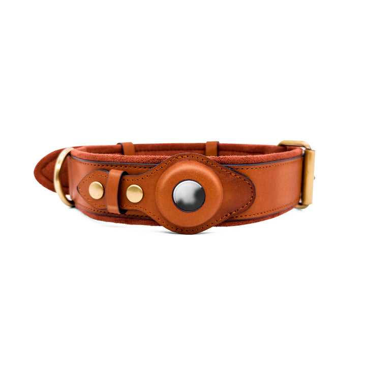 Genuine Leather Dog Collar with Airtag Case | Custom Dog Collars & Leashes